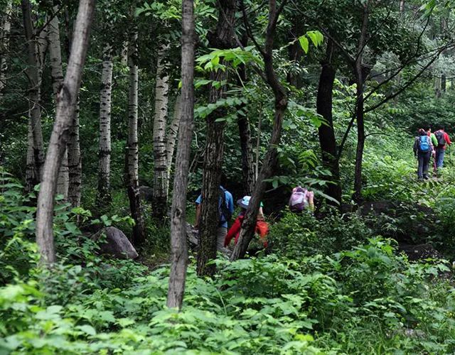 100%遮光蚊帐,蚊帐防蚊神器