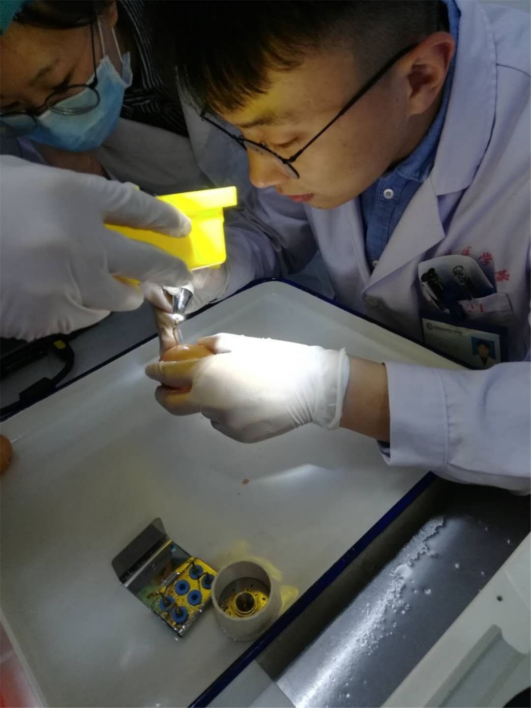 口腔种植零基础培训实操,口腔种植手术课程