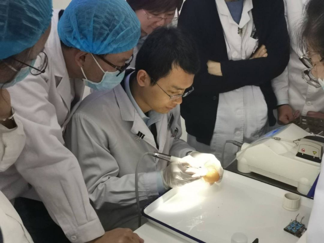 口腔种植零基础培训实操,口腔种植手术课程