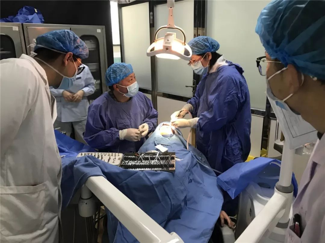 口腔种植零基础培训实操,口腔种植手术课程