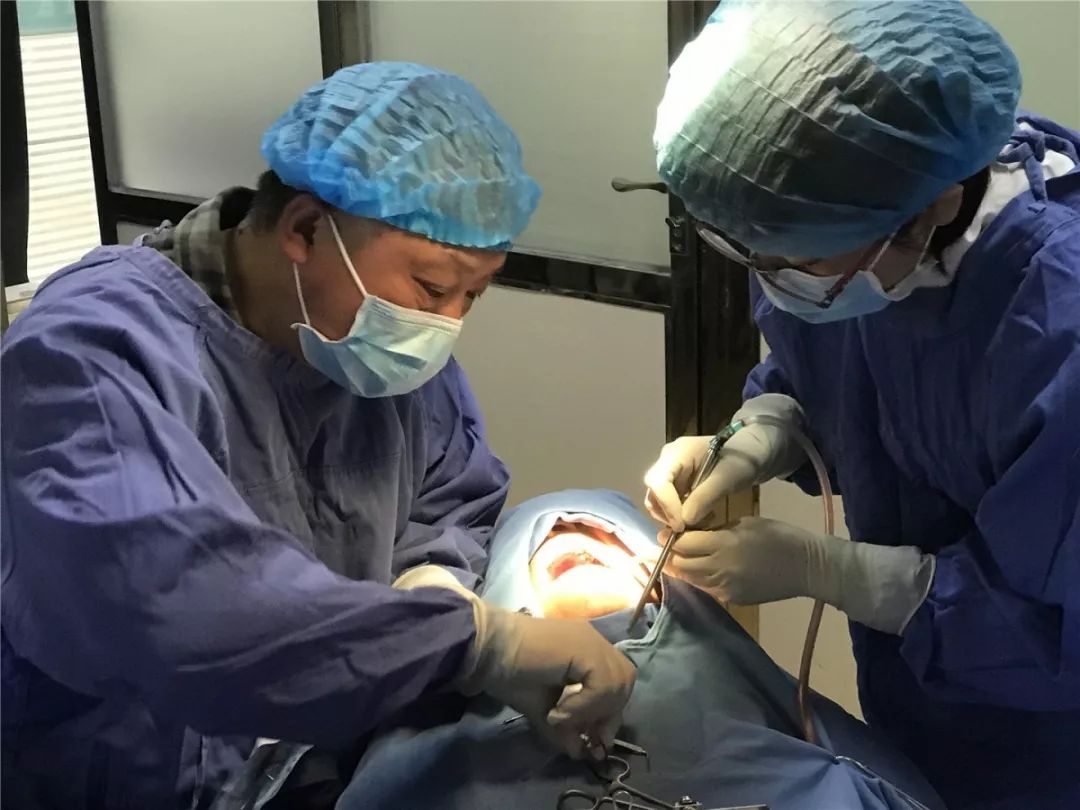 口腔种植零基础培训实操,口腔种植手术课程