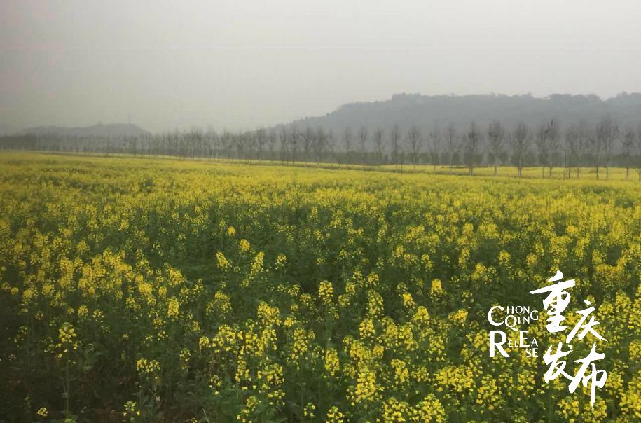 重庆山与城3期,重庆三大机场在哪里