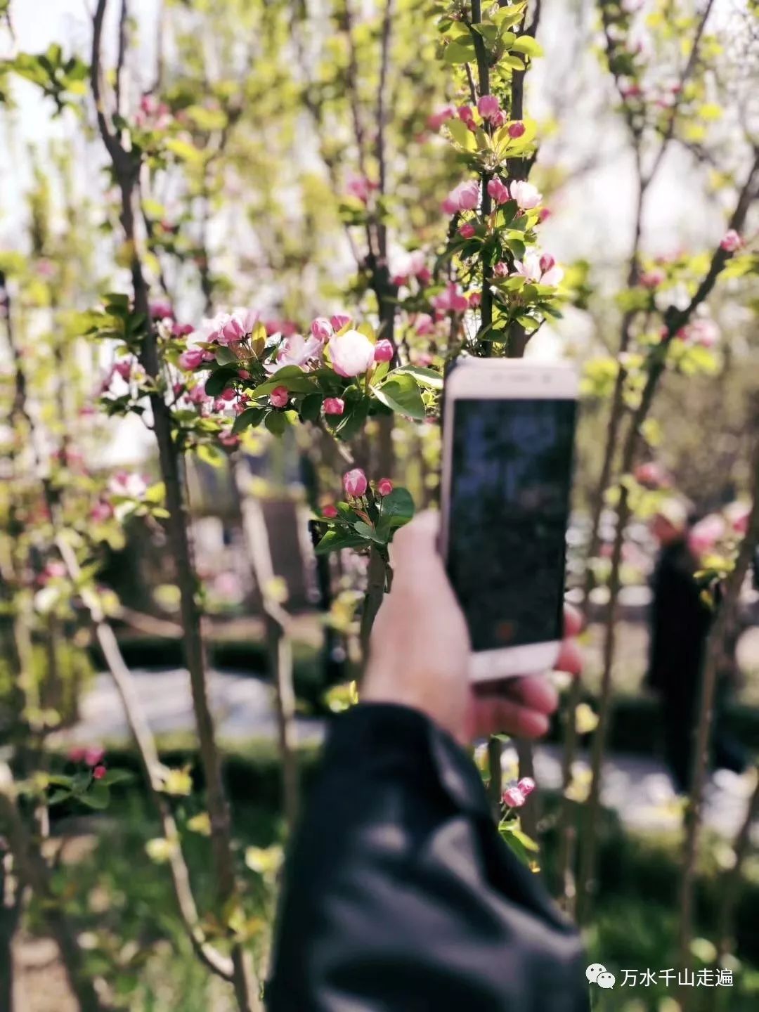 去爱吧不要让生命留下遗憾,在可以爱的时候就敞开心扉去爱吧