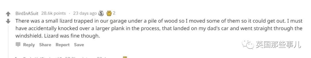 小时候觉得长大就能好好玩了,小时候觉得玩摔了就是天大的事