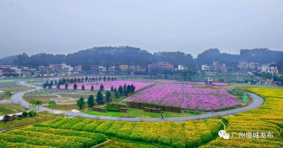 广州市增城区乡村风景图片,增城美丽乡村图