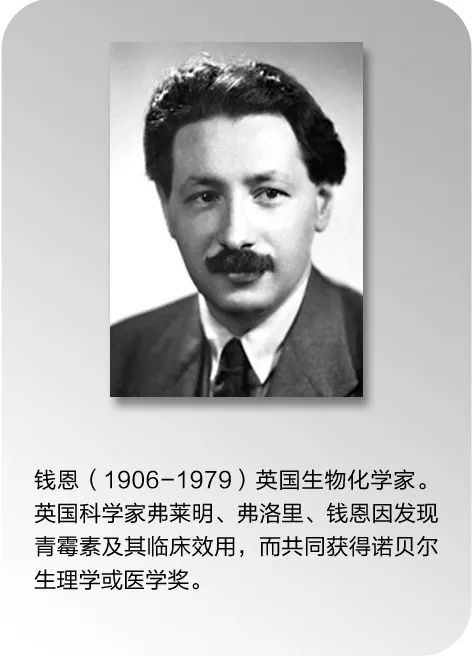 抗菌药物科普知识ppt,抗菌药物科普