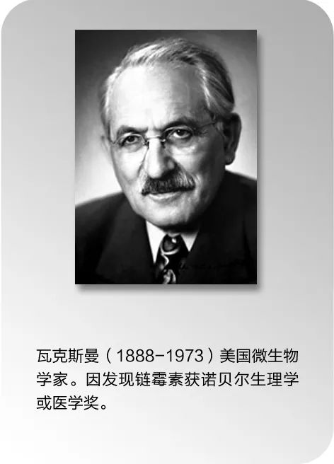 抗菌药物科普知识ppt,抗菌药物科普