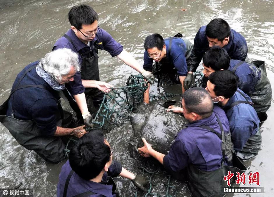 新闻早班车今天最新消息,新闻早班车201811.2