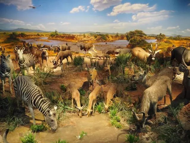 重庆最新旅游大全,重庆全集免费观看