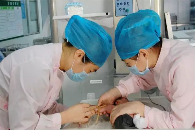 重庆最新旅游大全,重庆全集免费观看