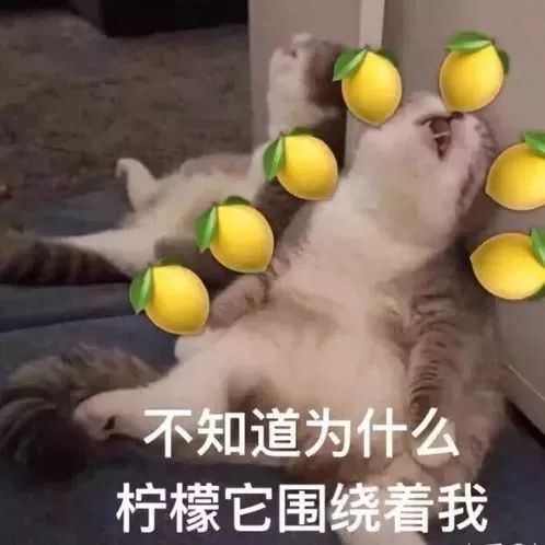 西安要开柠檬精大会！全场美食免费吃！SK-II神仙水、MAC口红免费送！我酸了！