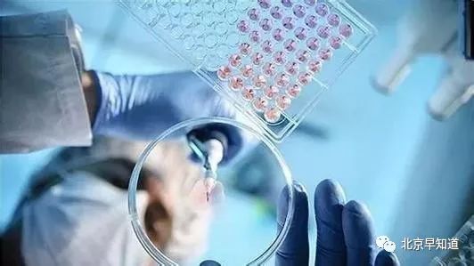 北京过敏鼻炎,北京治疗过敏鼻炎的医院