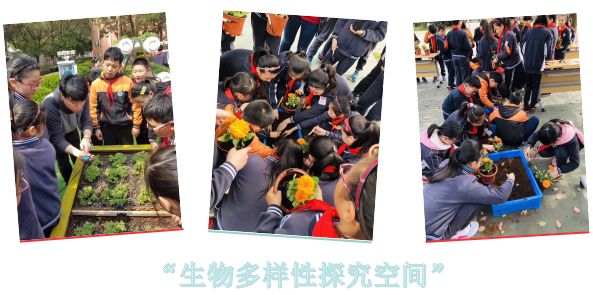 哇！共享让教育这么精彩