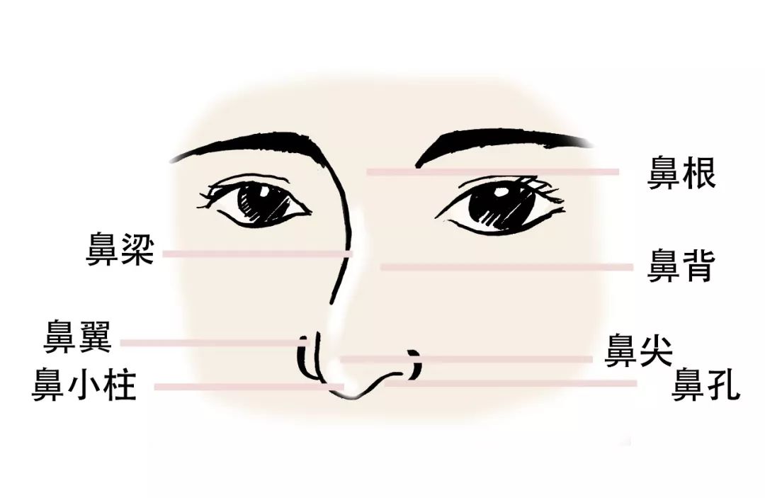 长鼻子如何通过整容改善,鼻子到底应该怎么修