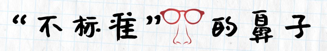 长鼻子如何通过整容改善,鼻子到底应该怎么修