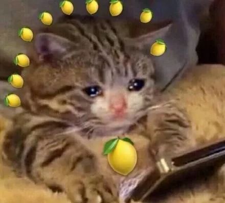 youarealemon什么意思,youarealemon