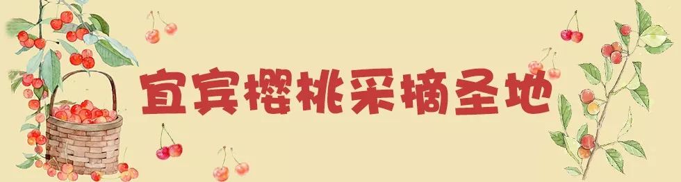樱桃熟了采摘园乐山,宜宾樱桃几月份成熟