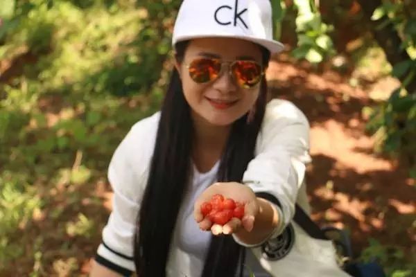 樱桃熟了采摘园乐山,宜宾樱桃几月份成熟