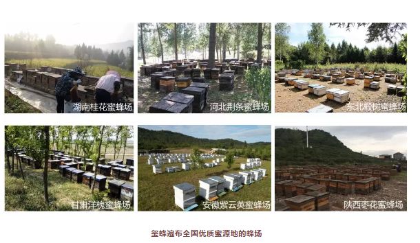 适合止咳的蜂蜜,止咳最好的蜂蜜