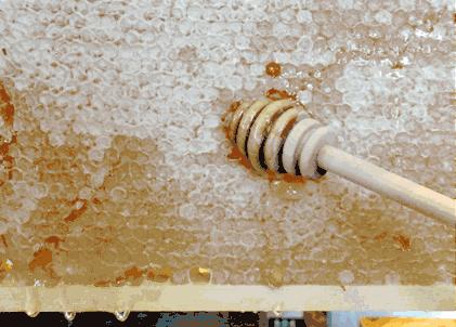 适合止咳的蜂蜜,止咳最好的蜂蜜