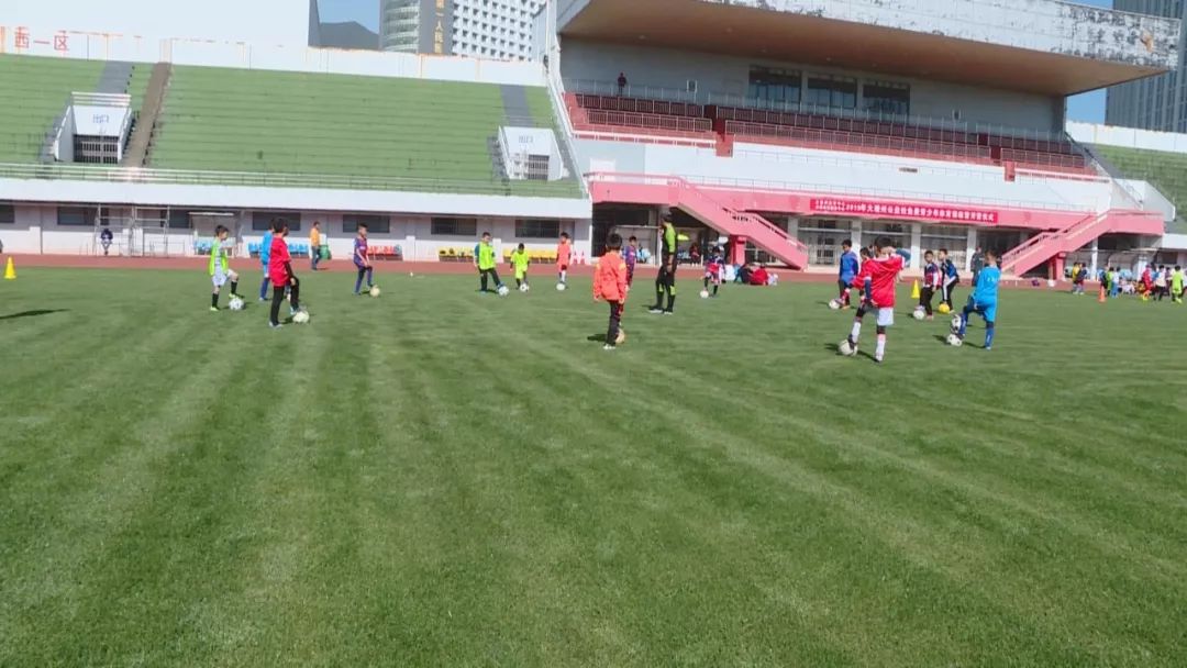 青少年专业体育训练营,暑假全封闭式体育训练营