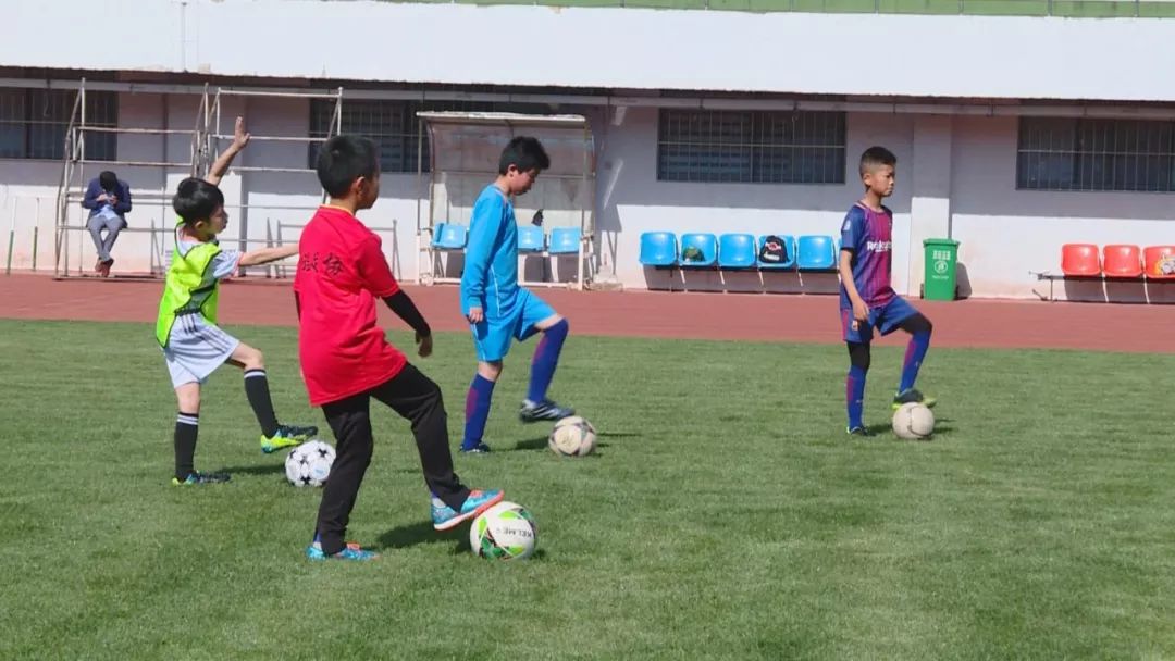 青少年专业体育训练营,暑假全封闭式体育训练营