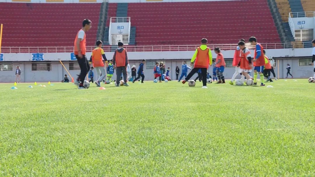 青少年专业体育训练营,暑假全封闭式体育训练营