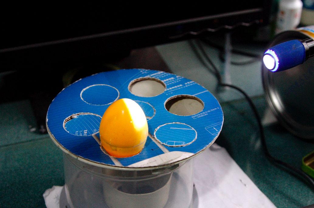 内外兼修成长快乐,内外兼修不断进步学习