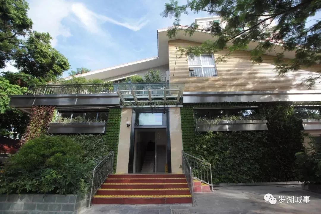 9大行动!罗湖掀起了一股热潮!齐心协力干好这件事!