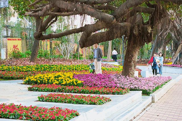 9大行动!罗湖掀起了一股热潮!齐心协力干好这件事!