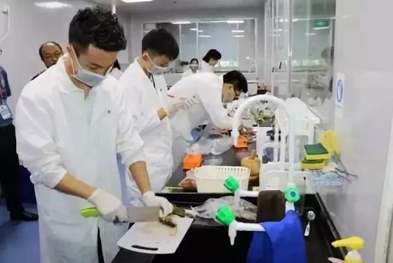 9大行动!罗湖掀起了一股热潮!齐心协力干好这件事!