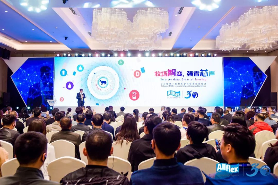 大数据万万没想到,万万没想到深度解析