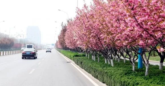 她之声原唱完整版,她之声完整版原唱是谁