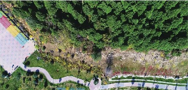 她之声原唱完整版,她之声完整版原唱是谁