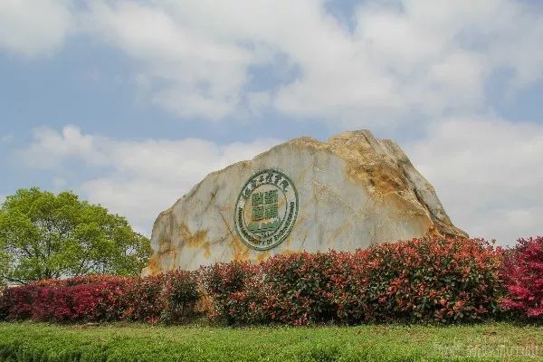 我是你不得不偏爱的江工小物件,对吗?