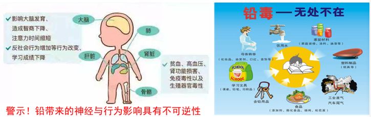 铅污染的起源与危害,避免铅污染的危害