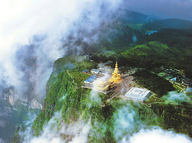 靠山吃山系列之找蕨菜,四川文旅产业发展