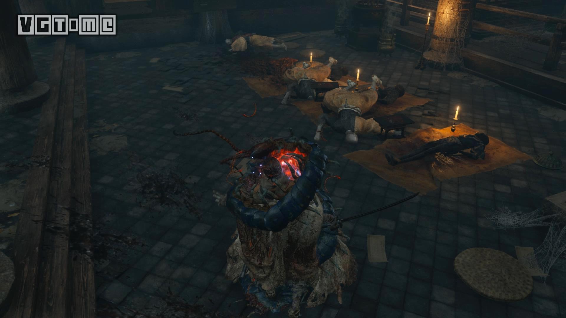 只狼苇名学完学什么,狼学研习者只狼第一期