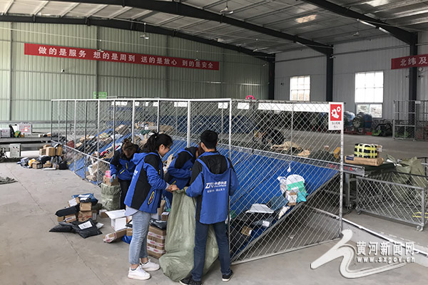 玉露香梨公梨变母梨,隰县玉露香梨种植利润