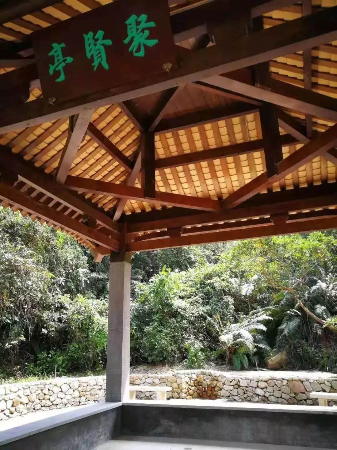 中山珠海赏花好地方,珠海斗门五一旅游攻略