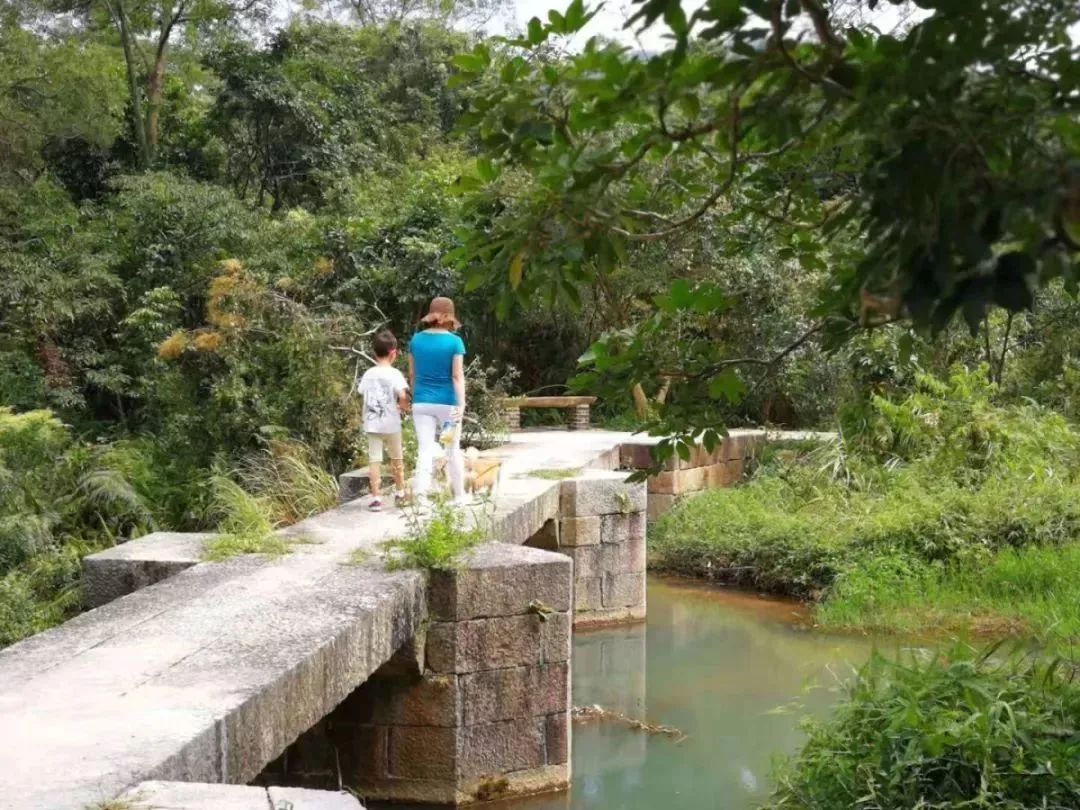 中山珠海赏花好地方,珠海斗门五一旅游攻略