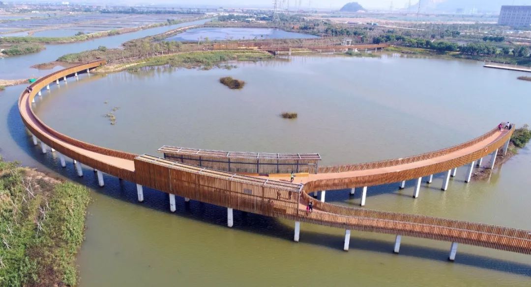 中山珠海赏花好地方,珠海斗门五一旅游攻略