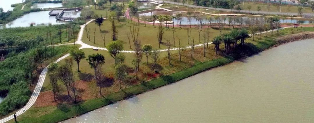 中山珠海赏花好地方,珠海斗门五一旅游攻略