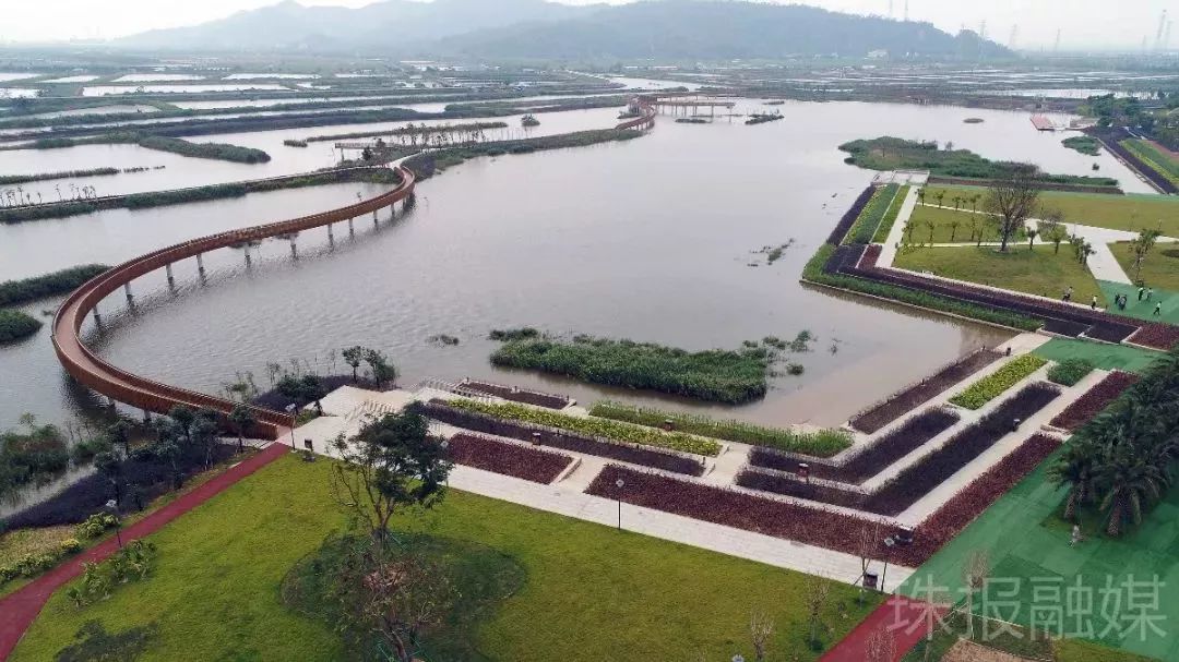 中山珠海赏花好地方,珠海斗门五一旅游攻略