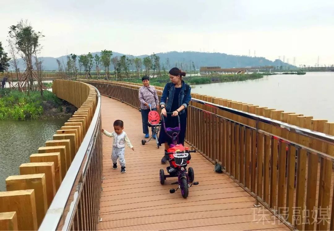 中山珠海赏花好地方,珠海斗门五一旅游攻略