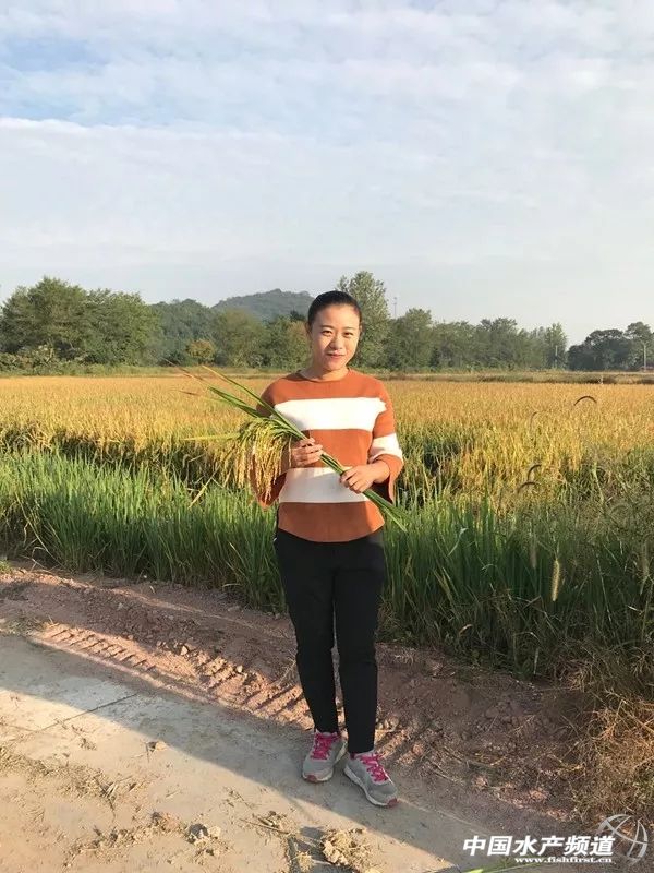 自贡沿滩稻虾养殖助农民增收致富,稻虾养殖致富纪录