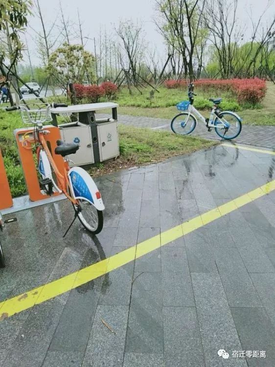 手续不全、乱停乱放…宿迁1000多辆哈啰单车被查扣！