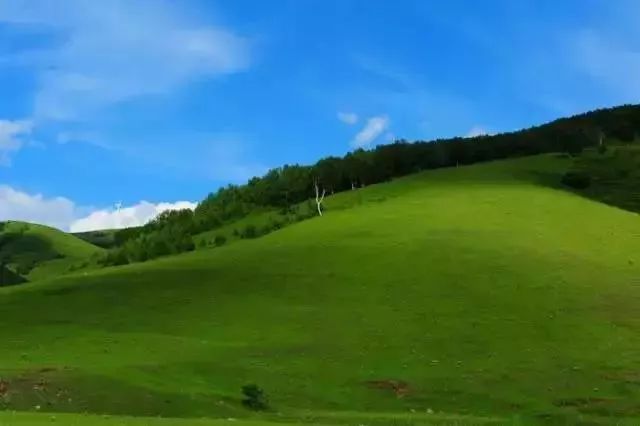 旅发大会沽源,张家口沽源旅发大会