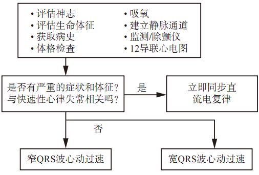 心动过速常见疾病的巧妙记忆,心动过速的病理原因分析