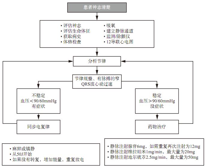心动过速常见疾病的巧妙记忆,心动过速的病理原因分析